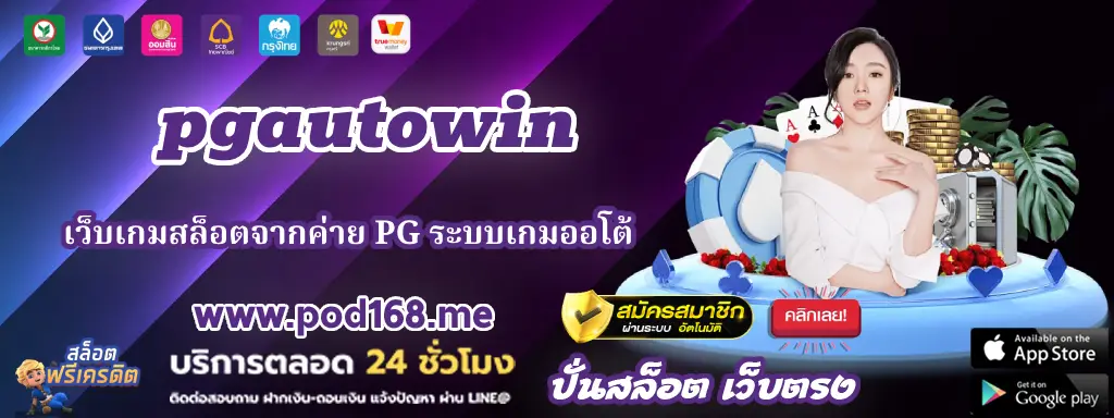 pgautowin 33